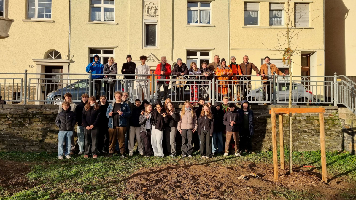 BaumpflanzGruppekomp11